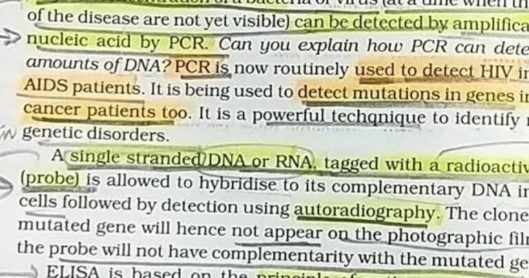 How PCR Can Detect Very Low Amount of DNA